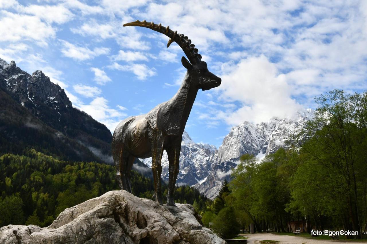 Mountain Charm Apartment Kranjska Gora Luaran gambar