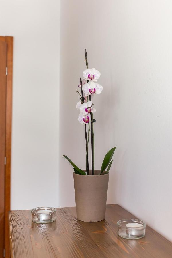 Mountain Charm Apartment Kranjska Gora Luaran gambar